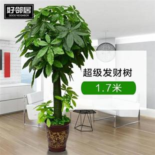 饰1.5米田园塑料甩卖 仿真发财树植物大型盆栽盆景假假花客厅装