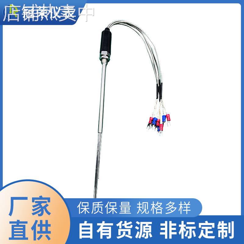 多点偶铂热电阻热电偶WZPK/L1 L2 L3 WRKK/L1 L2 L3 L4