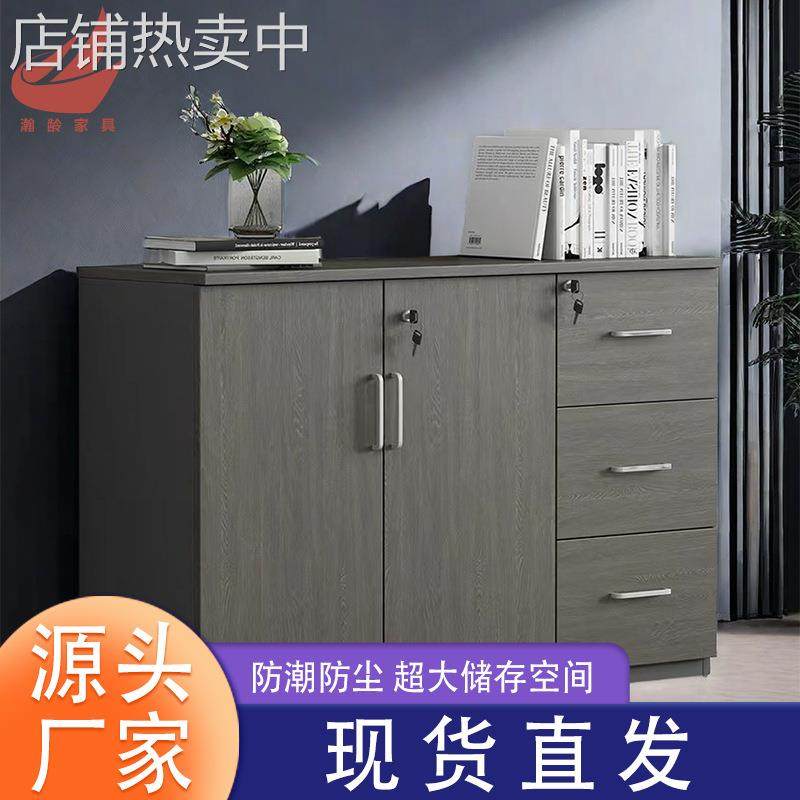 文件柜办公文件柜定制办公室文件整理柜收纳柜简约板式双开抽屉柜