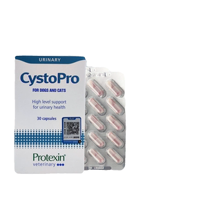 英国cystopro沙斯多保犬猫狗泌尿痛利尿通结石尿频尿血感染膀胱炎