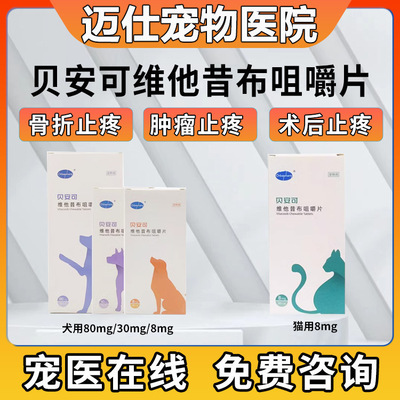 贝安可术后髋关节消炎猫咪