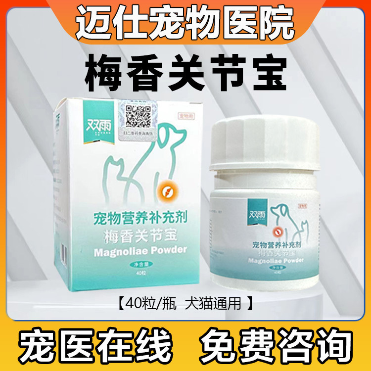 梅香关节宝泰迪髌骨脱位髋关节炎