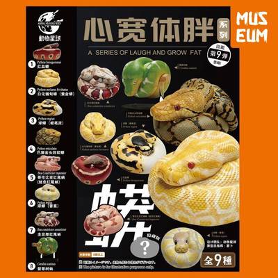 动物星球心宽体胖第9弹 红血球蟒树蚺圭亚那红尾蚺巴厘金头蛇模型