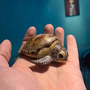 新品动物宝贝心宽体胖系列第四弹海洋篇盲盒乌龟鱼手办摆件周边