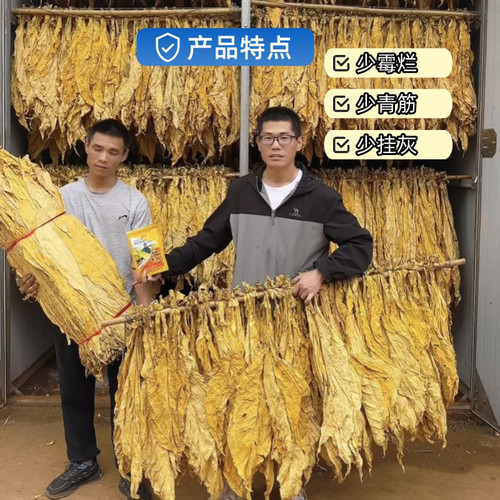 满房使用减少霉烂挂会青筋
