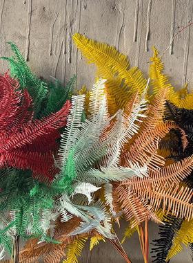 永生花芒齿叶天然真花干花花束插花摆件婚庆装饰布景拍摄道具蕨叶