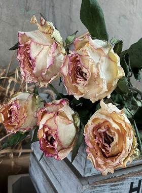 ins云南干枯玫瑰干花花束复古真花拍照道具民宿办公室家居装饰插