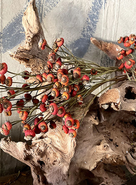 天然蔷薇果干花花束真花民宿婚房布置创意软装拍照道具招财小红果