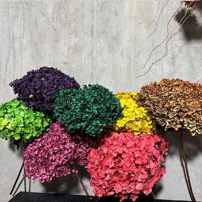 天然绣球永生花干花花束