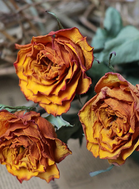 天然风干玫瑰干花花束永生花家居装饰拍照道具插花真花文艺田园礼