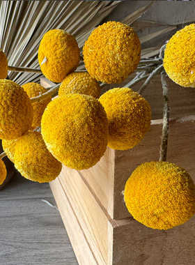 黄金球干花花束永生花北欧家居软装天然植物装饰尤加利桉树苹果叶