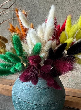 天然兔尾草干花花束家居软装饰狗尾巴草DIY材料酒店民宿网红文艺