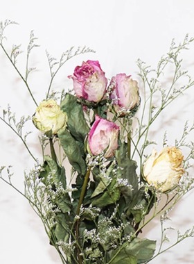 天然真花玫瑰干花花束家居装饰摆件满天星礼品拍照道具插花艺永生