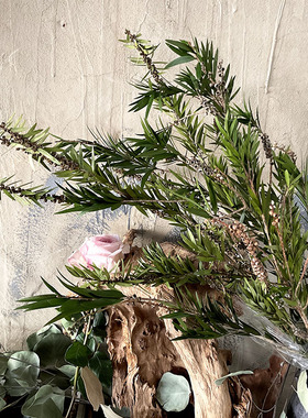 植物佛珠干花花束永生真花软装婚庆造景陈列摄影道具家居民宿装饰