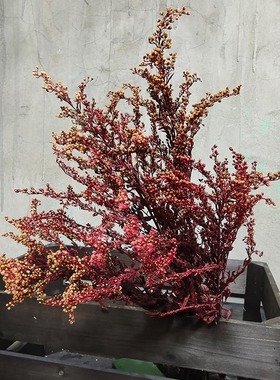 乙木繁花永生黄莺草配草天然植物干花艺桌面百搭真花餐厅装饰永生