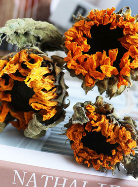 云南基地向日葵干花花束重瓣天然风干真花花束玫瑰干花diy装饰