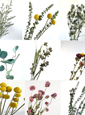 尤加利叶黄金球苹果叶情人果麦杆菊情人草花材干花花束小雏菊混搭