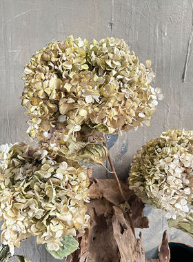 天然永生绣球干花花束家居插花民宿酒店软装饰品造景摄影道具真花