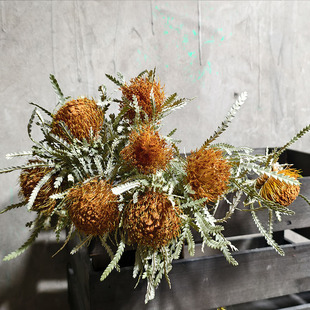 进口天然干花花束高级感天然客厅插花真花黄金佛塔针垫家居装饰