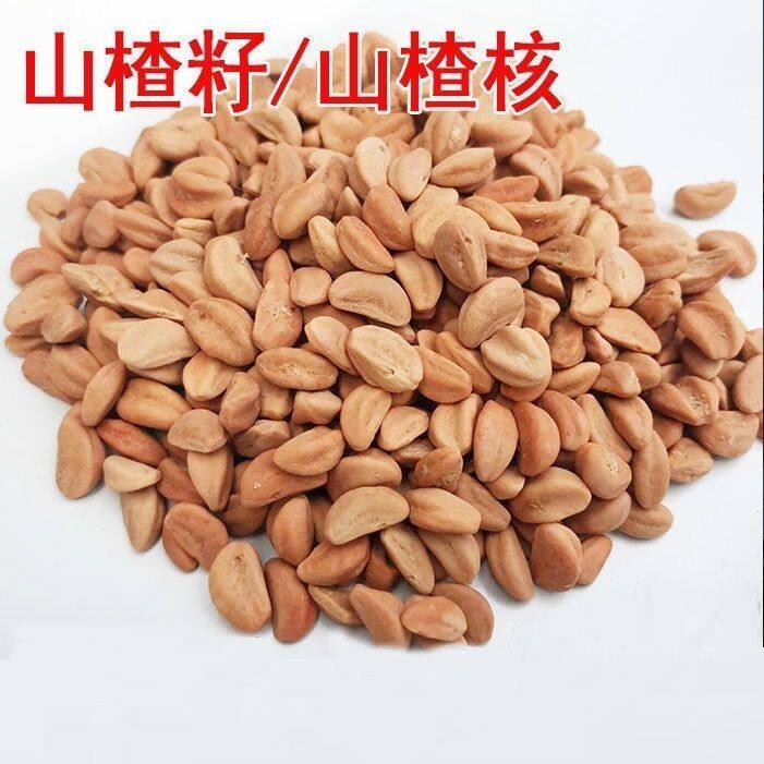 山楂籽枕头填充物颈椎枕楂核山里红玩具游乐场沙池水洗散装子500g