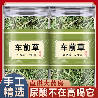 车前草中药材非野生特级干货正品官方旗舰店泡茶水喝的功效与作用