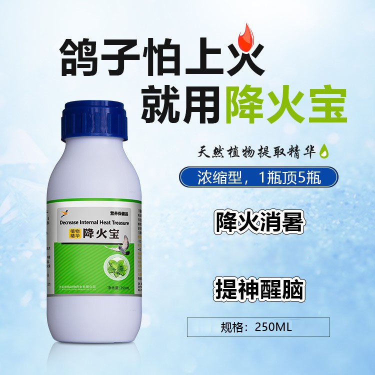 凯鸽鸽药降火宝消暑清火绿色精酸水宝清热解暑鸽子药大全专用凯哥
