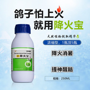 凯鸽鸽药降火宝消暑清火绿色精酸水宝清热解暑鸽子药大全专用凯哥