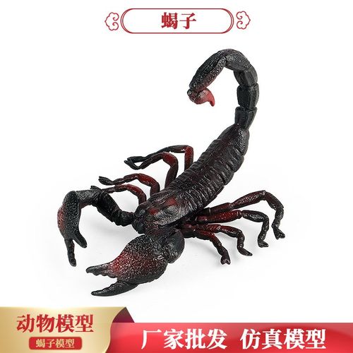 儿童蒙氏教具仿真昆虫野生动物