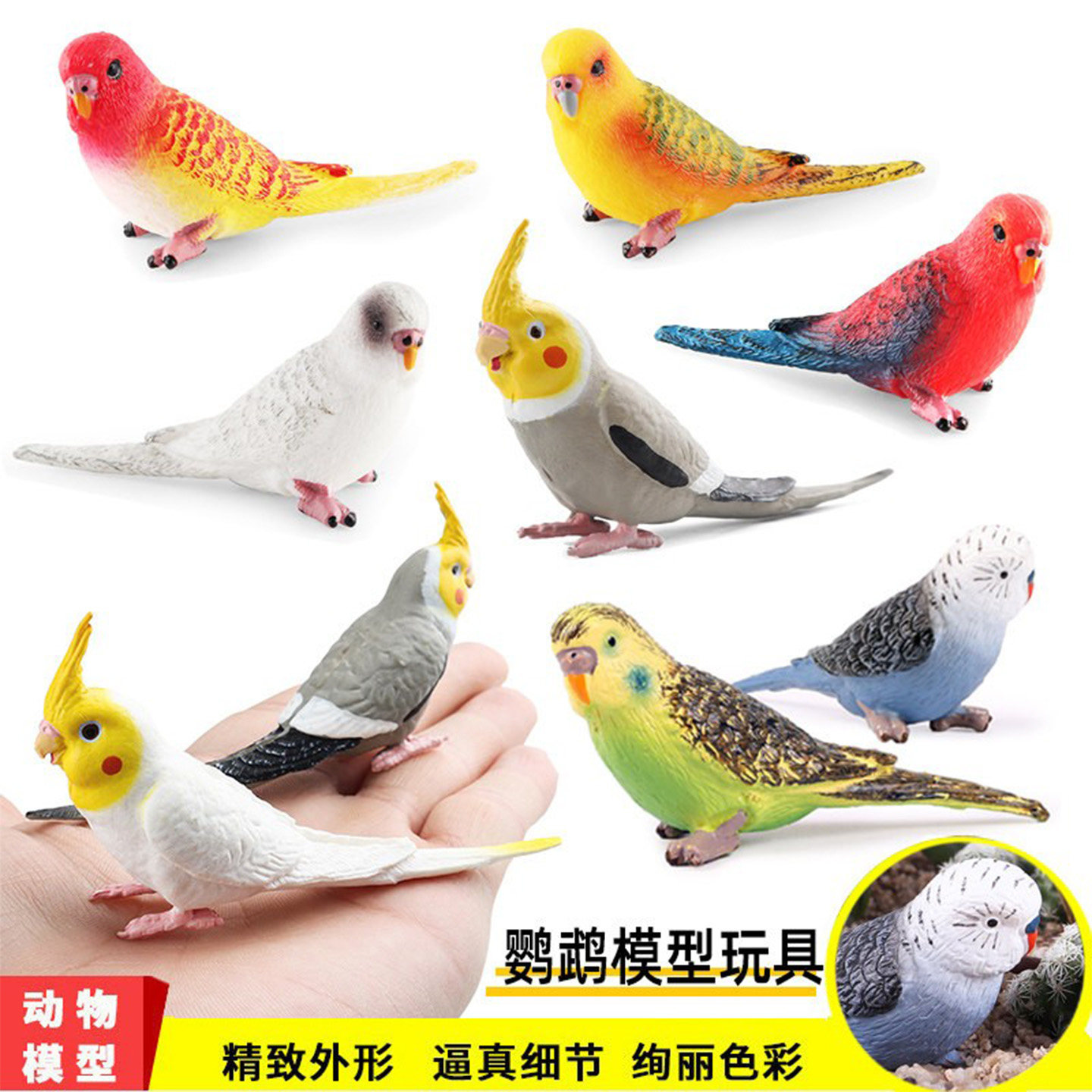 仿真动物模型玄凤鹦鹉玩具虎皮金刚鹦鹉飞禽鸟类儿童认知家居摆件