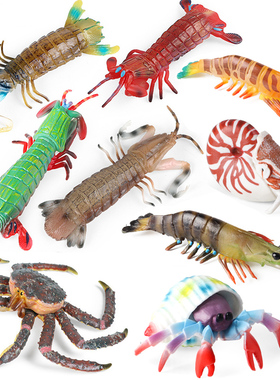 仿真皮皮虾濑尿虾姑海洋生物动物模型螃蟹寄居蟹过家家儿童玩具