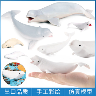 仿真实心白鲸模型海洋海底生物世界塑胶鲸鱼玩具儿童认知早教道具