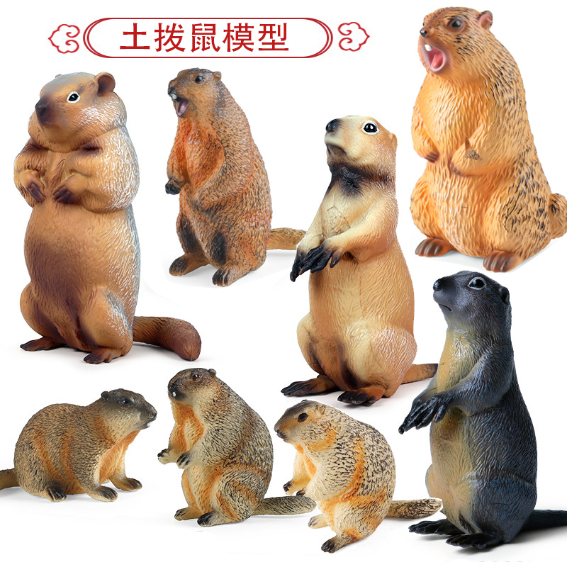 仿真野生动物模型实心土拨鼠玩具草地獭雪猪水豚儿童启蒙装饰摆件