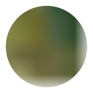 儿童玩具实心静态仿真海洋手办摆件海龟陆龟象龟乌龟两栖动物模型