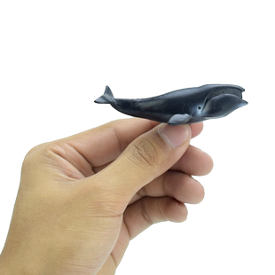 迷你海洋生物模型 仿真动物玩具鲨鱼海豚多肉微景观摆件蛋糕装饰