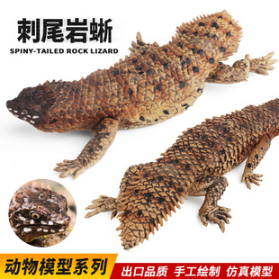 仿真沙漠蜥蜴刺尾岩蜥石龙子变色龙爬行动物模型玩具科教爬宠教具