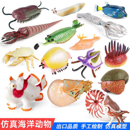仿真海洋动物玩具模型鹦鹉螺菊石奇虾水母三叶虫鱼安康鱼鱼缸摆件