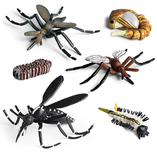 仿真实心昆虫玩具动物模型蚊子生命周期害虫蟑螂螳螂屎壳郎苍蝇