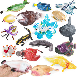 仿真水滴鱼海洋动物模型火蝾螈灯笼鱼石头鱼蛞蝓儿童玩具鱼缸摆件