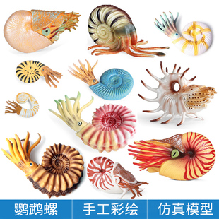 儿童认知仿真海洋动物模型玩具远古生物鹦鹉螺海螺田螺玩偶摆件