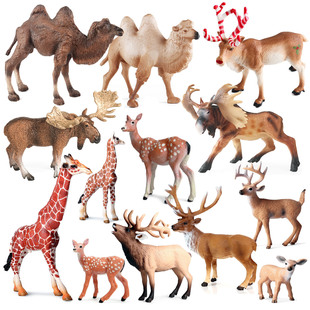 儿童仿真动物模型北美麋鹿驼鹿驯鹿骆驼长颈鹿梅花鹿圣诞摆件玩具