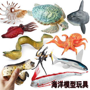 仿真动物模型海洋生物玩具鱿鱼八爪鱼水母翻车鱼海龟海鳗飞鱼带鱼