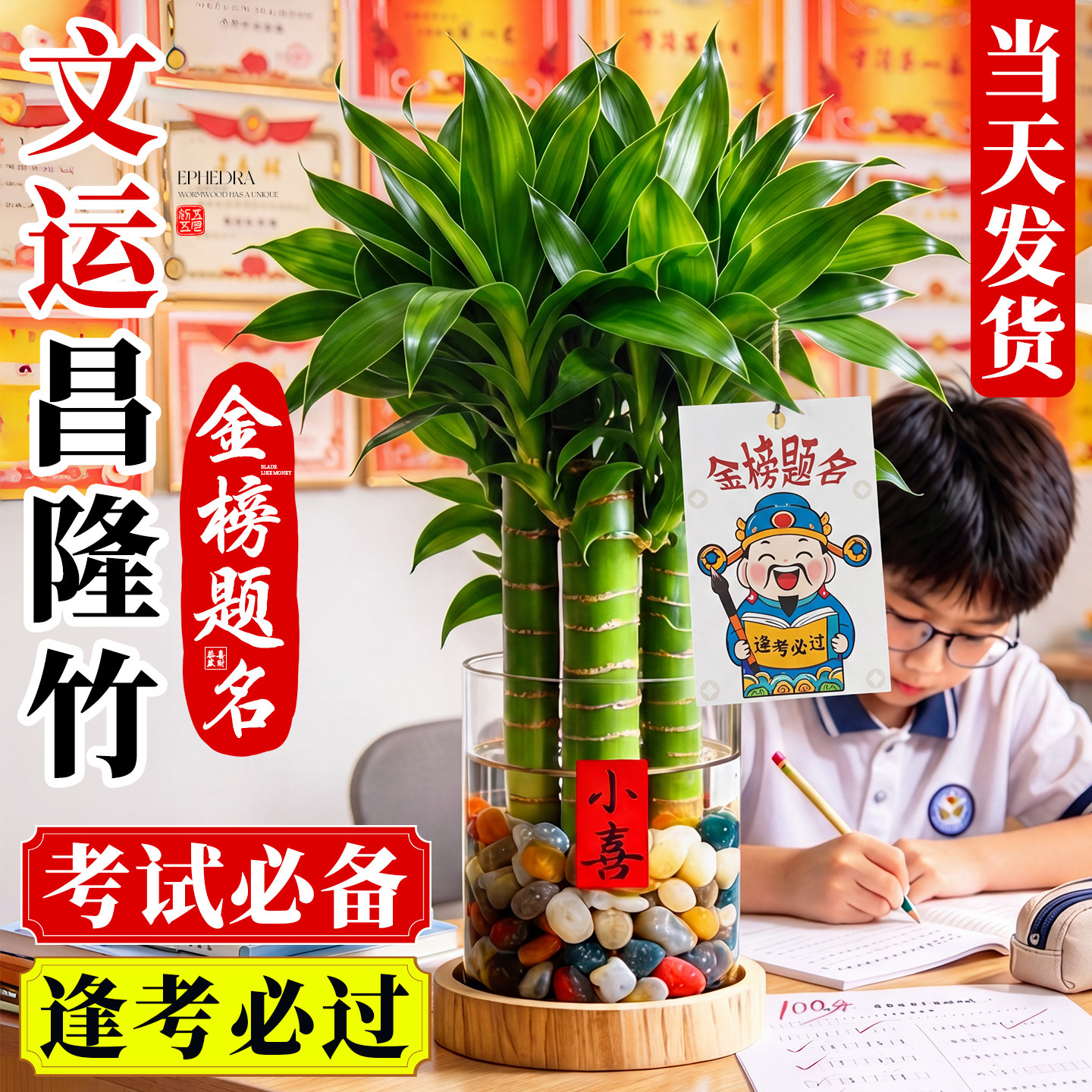 养一盆学霸竹吸一口文昌气