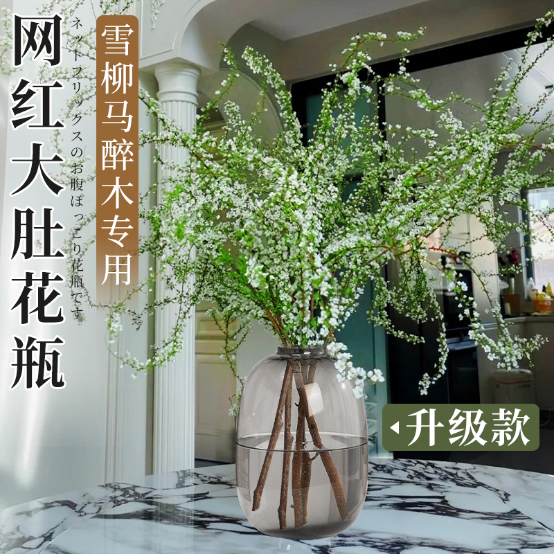 【轻奢高级感】富贵竹专用花瓶