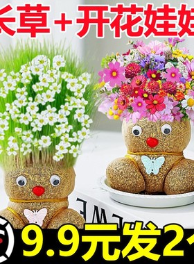 草头娃娃头上长草人小盆栽种植浇水长头发儿童种草幼儿园网红开花