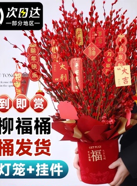 银柳真花鲜枝客厅抱抱福桶装饰摆件干花红色2026过新年宵花卉盆栽