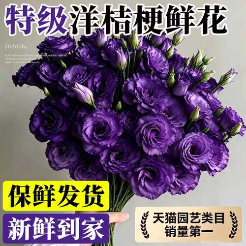 【特级鲜花】洋桔梗鲜花云南直发