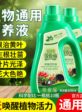 营养液植物通用型花肥发财树富贵竹绿萝水培盆栽家用花卉养花肥料