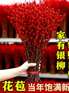 2026银柳真花鲜枝批发干花客厅摆件红色年宵花卉新年氛围装饰水培