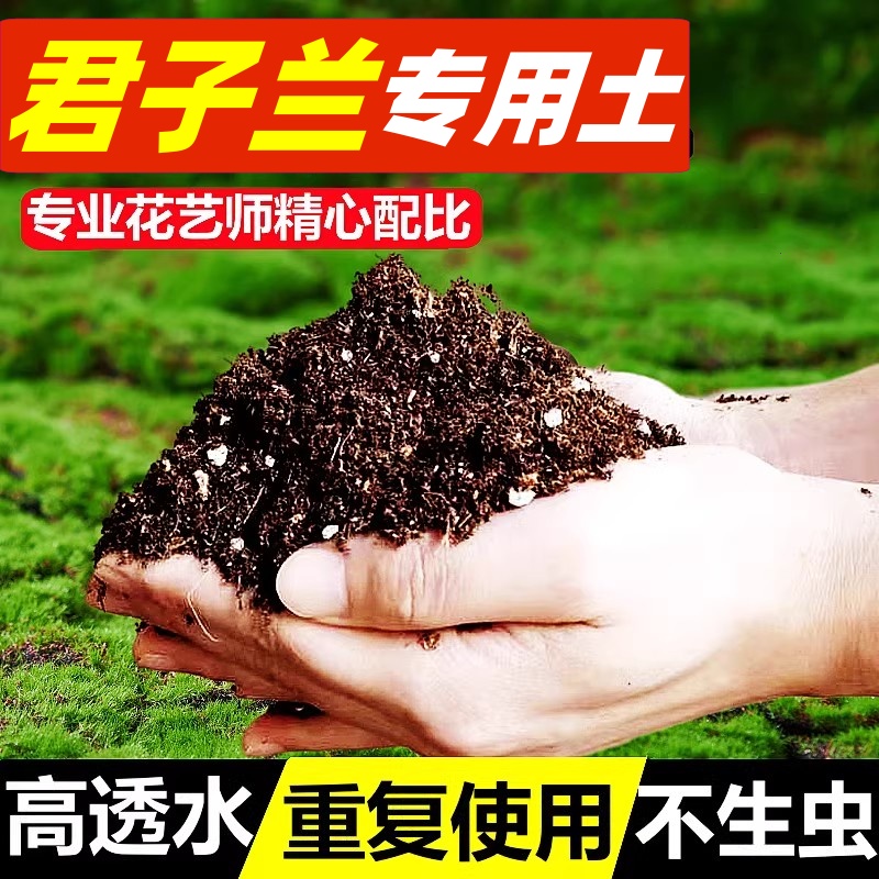 【100%君子兰基地土】送肥料