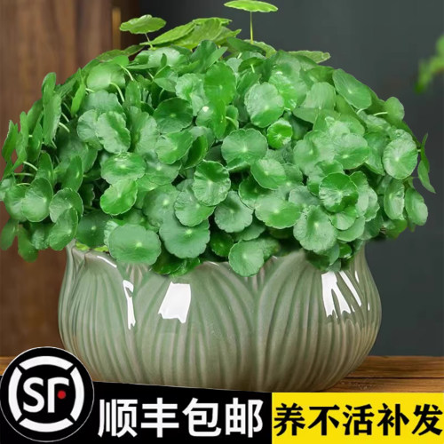 【全网热销10w+】万人推荐！